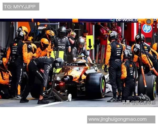 F1赛车燃料策略对比赛成绩影响分析
